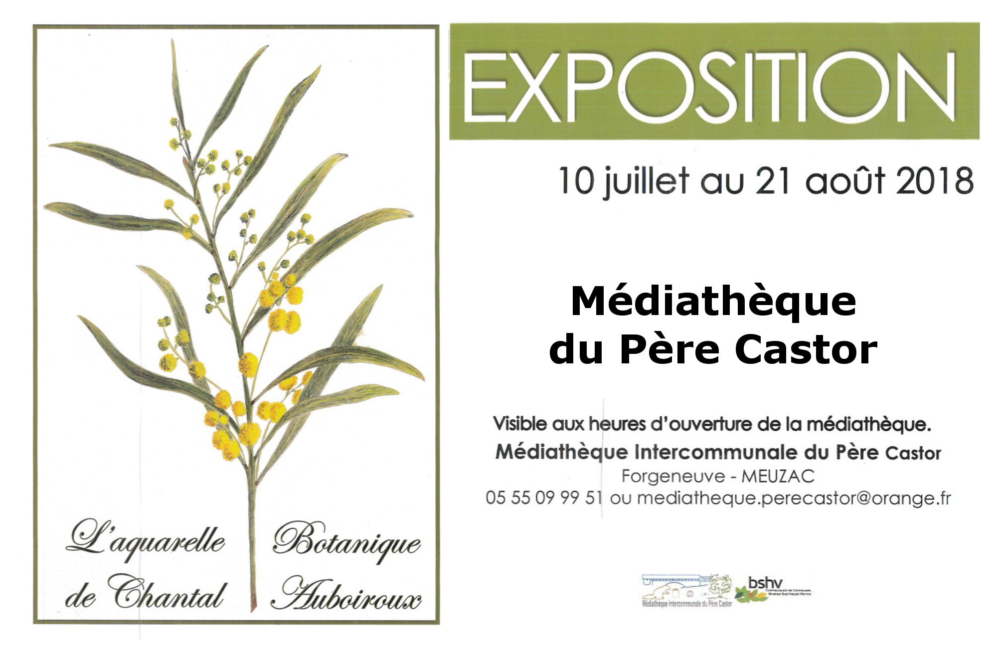 Expo : l'aquarelle botanique