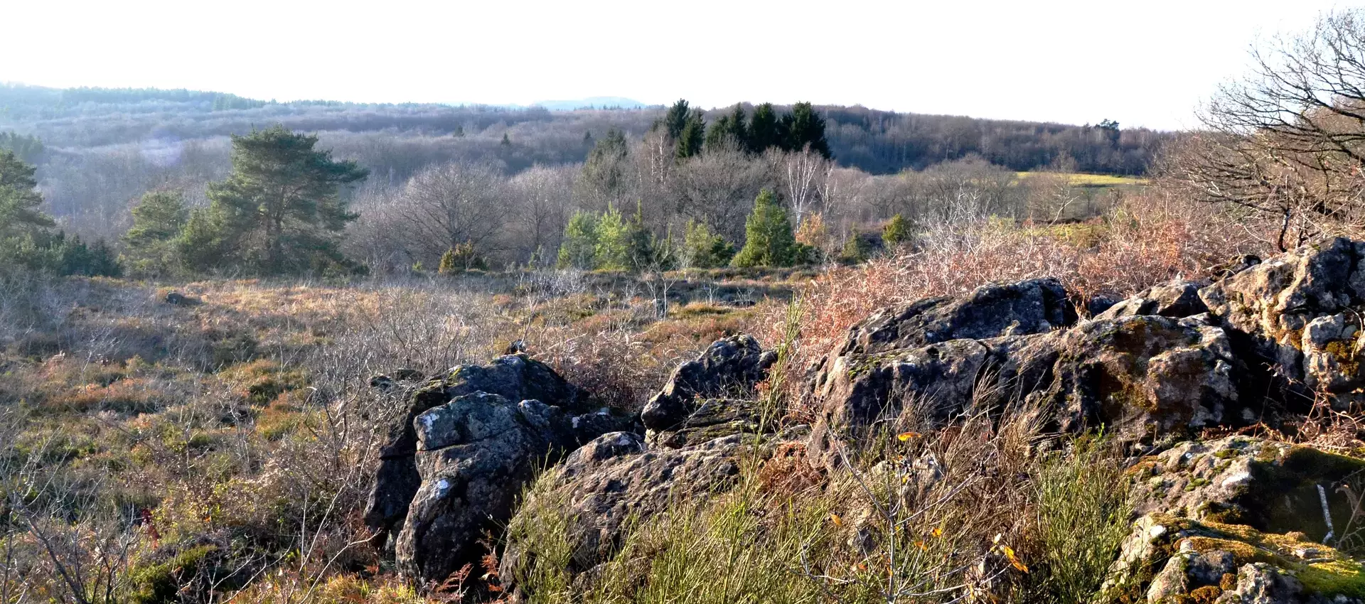 Bienvenue sur le site de la commune de Meuzac située en Haute-Vienne (87)